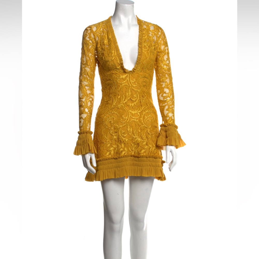 Alexis plunge neck mini dress